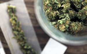 Lee más sobre el artículo Principales efectos del cannabis