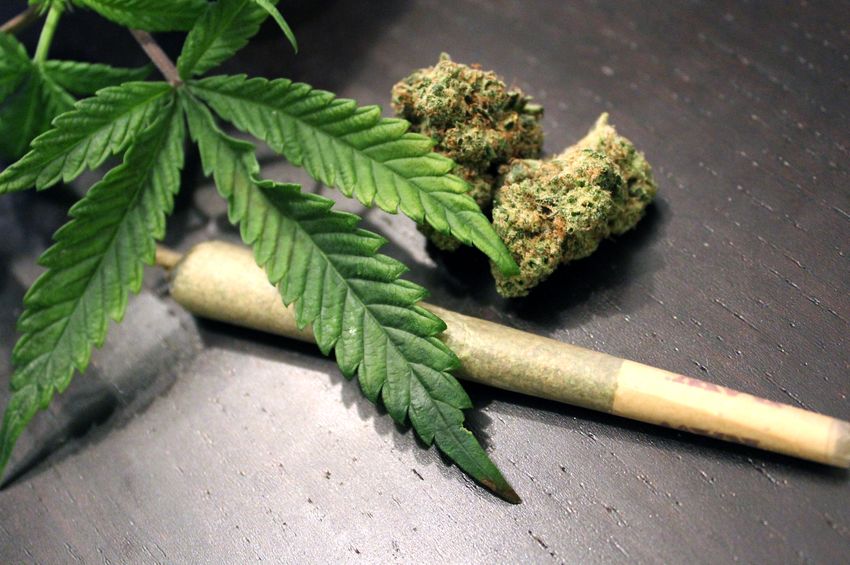 Lee más sobre el artículo Qué efectos tiene el consumo de cannabis?